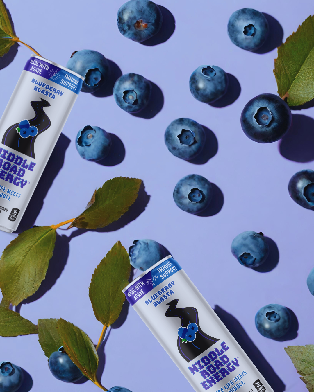 BLUEBERY BLASTA 4 PK